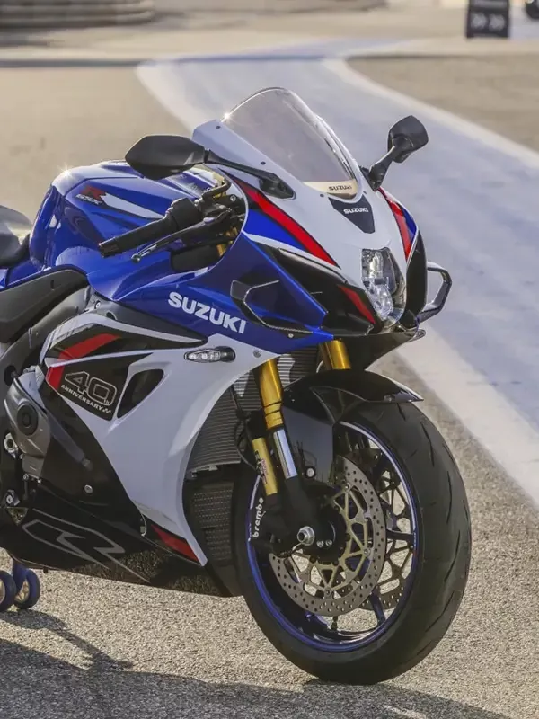 concesionario Oficial Suzuki Benavente.