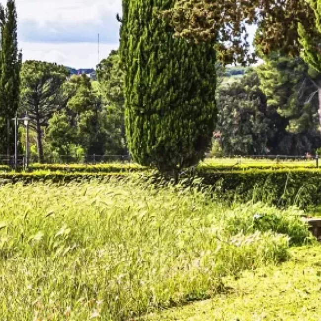 Maquinaria para jardinería