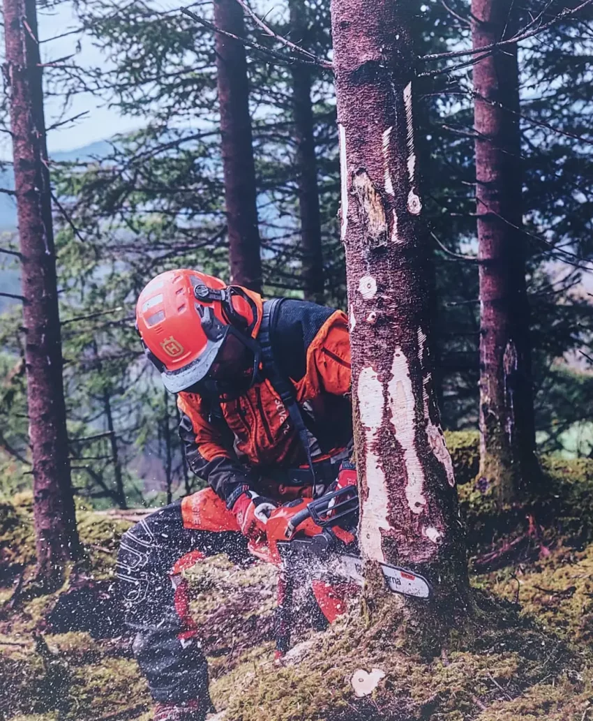 trabajos forestales con herramientas profesionales